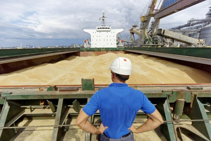 Стійкий попит, зливи та Єгипет: як Україна відкрила новий сезон експорту пшениці
