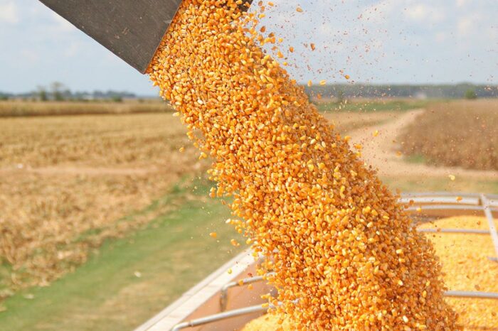Через заблоковані порти Україна недоотримує $40-60 на тонні зерна
