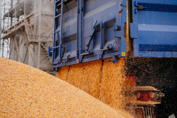 Експорт кукурудзи за три тижні травня перевищив квітневі показники