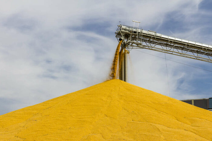«Рукава» для тимчасового зберігання зерна вже прямують в Україну