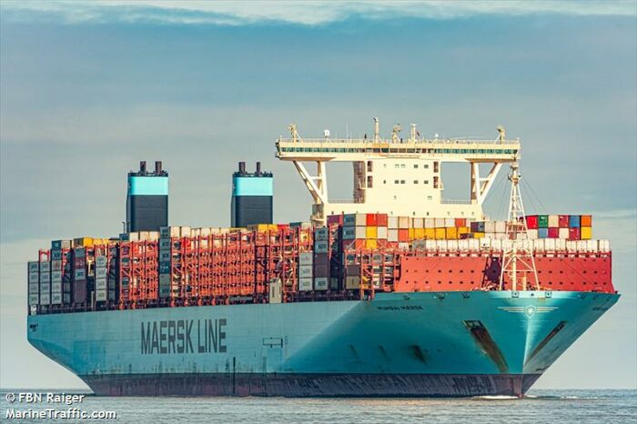 Maersk показав, як відпочивають морські котики (ВІДЕО)