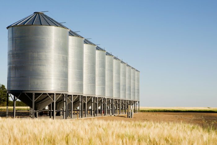 Рф планує вивезти з України майже мільйон тонн зернових