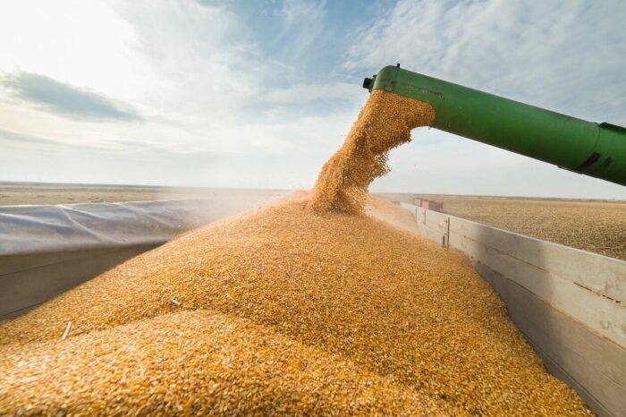 Україна у 5 разів збільшила експорт сільгосппродукції
