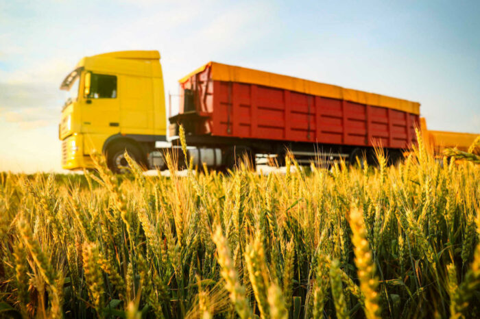 Україна пропонує створити на кордоні з Польщею зелені коридори для зерна