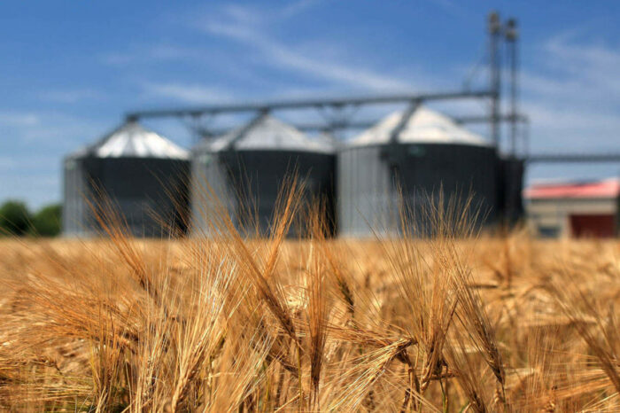 Єврокомісія відкриє «шляхи солідарності» для експорту українського зерна