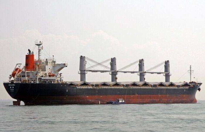 Туреччина випустила з Босфору російське судно з краденим зерном