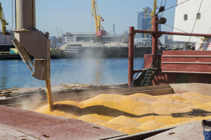 Синдикати Lloyd's почали страхувати судна з українським зерном