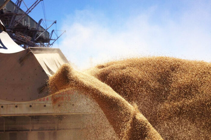 В Україні є зерно для експорту на $10 млрд