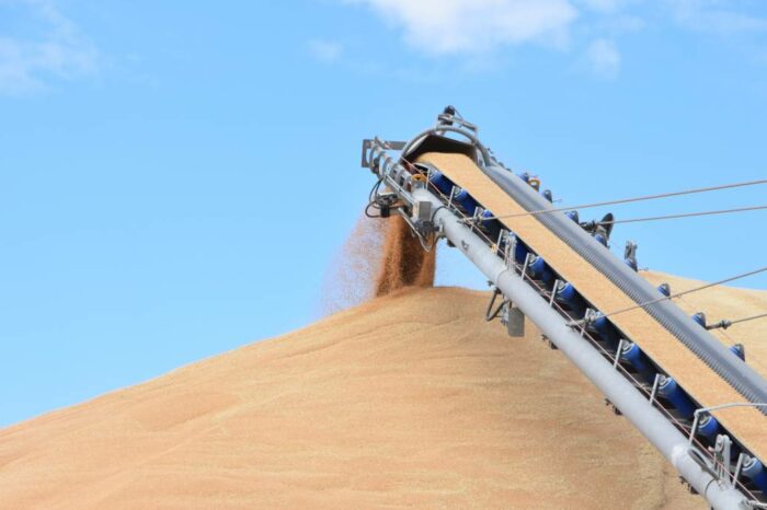 Україна експортувала понад 60 млн тонн зерна за рік