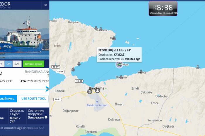 Туреччина відпустила ще одне судно, яке перевозило крадене зерно
