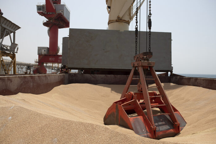 Україна збільшує експорт зерна на 20-30% щомісяця