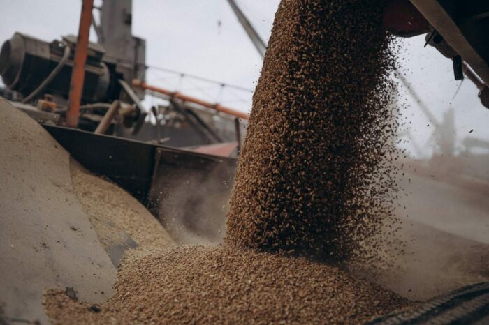 Зернова ініціатива сприяє здешевленню продовольства у світі