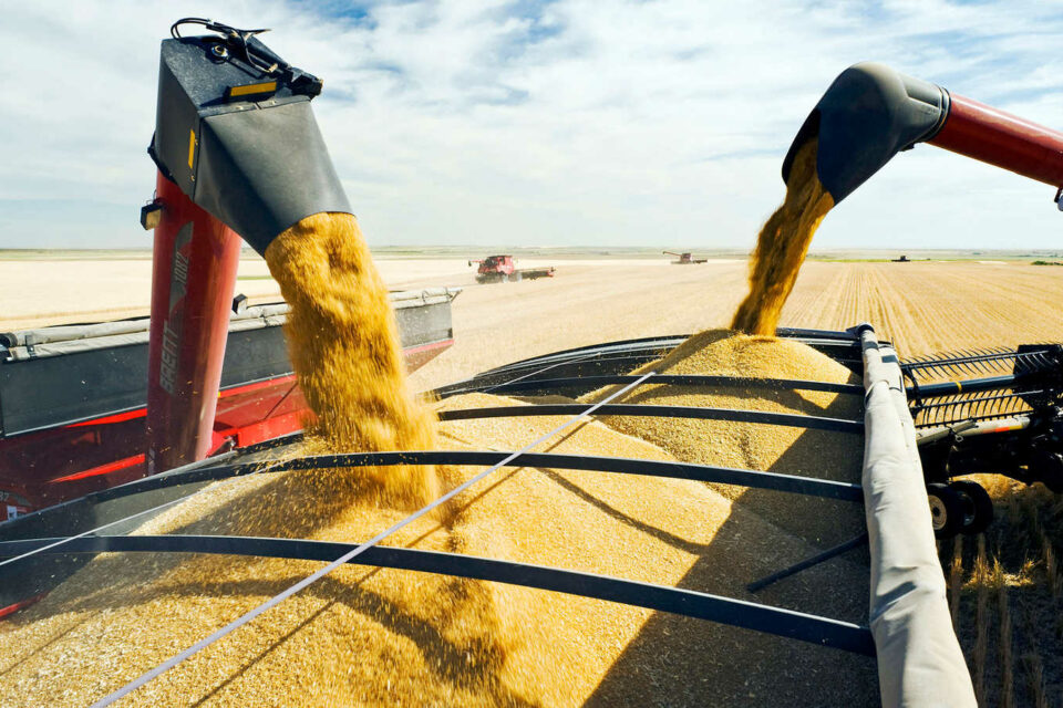 Кабмін спростив фумігацію зерна з України за кордоном